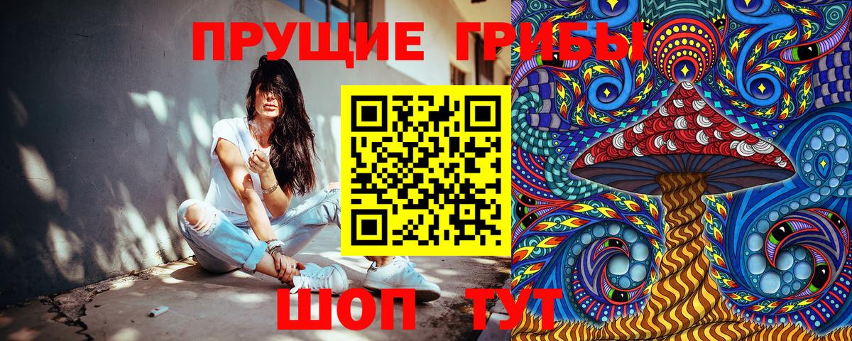 Галлюциногенные грибы ЛСД Россия