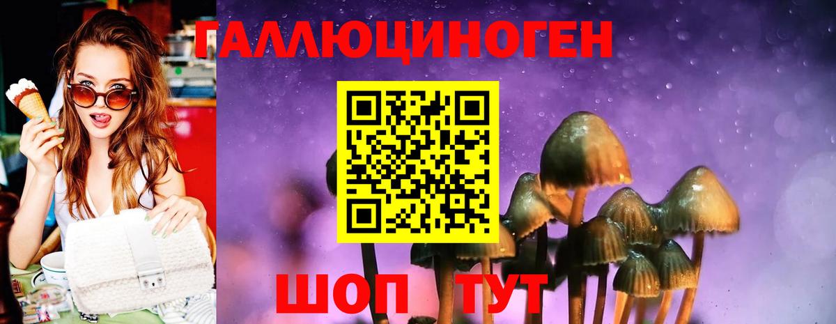Псилоцибиновые грибы Psilocybe  Галлюциногенные грибы Cubensis  Вход с VPN  Россия 